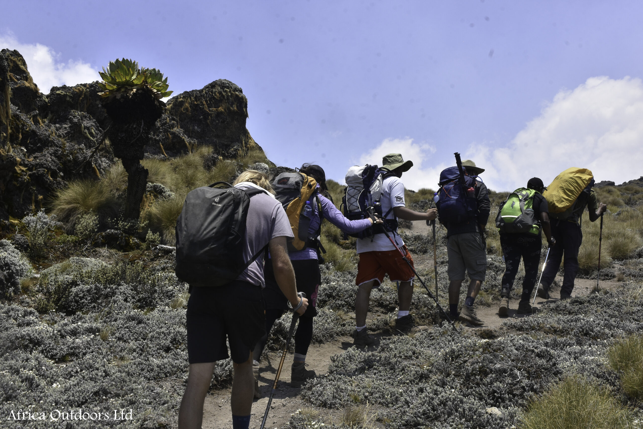 Mount Kilimanjaro Machame Route(7 days)