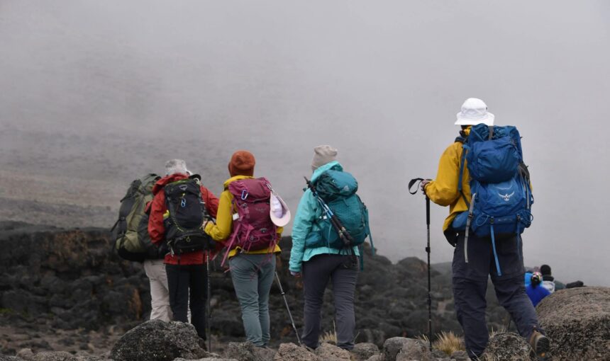 Mount kenya & Kilimanjaro group joining dates 2026/2027