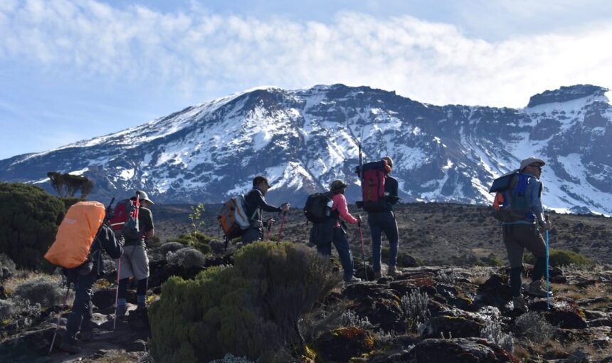 How much does it cost to climb Kilimanjaro?
