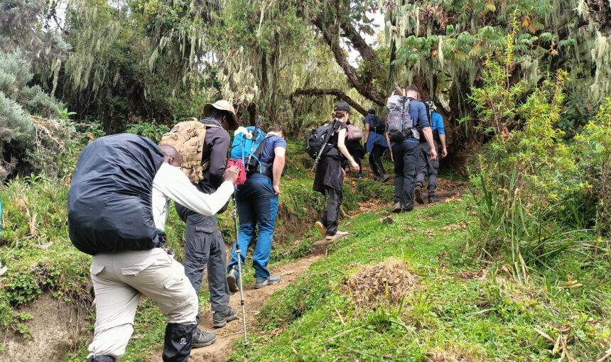 How Hard Is Kilimanjaro?